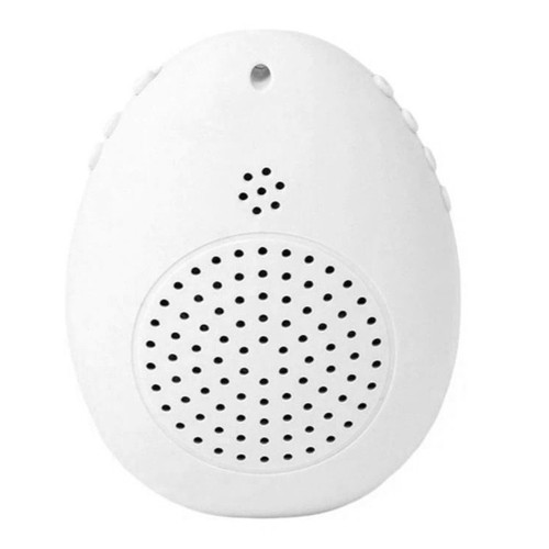 Recording bird learning - recording,