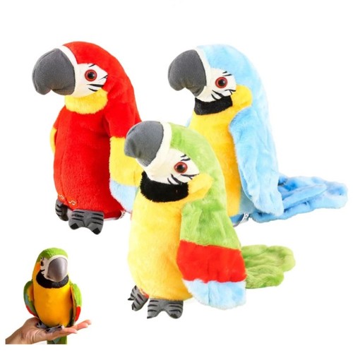 Repeat parrot talking birds - parrot,