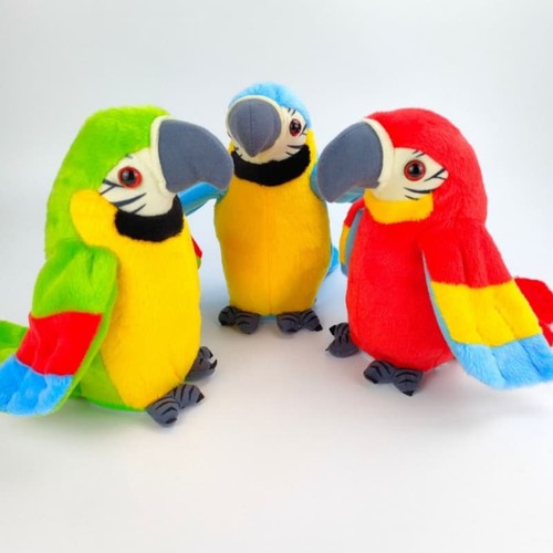 Repeat parrot imitates fun - parrot,