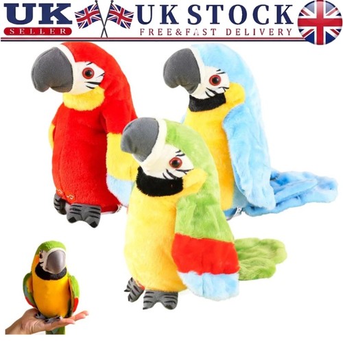 Repeat parrot talking birds - repeat,
