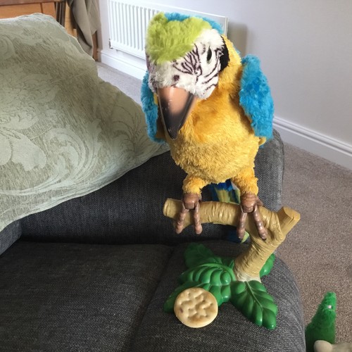 Squawkers mccaw talking parrot - squawkers,