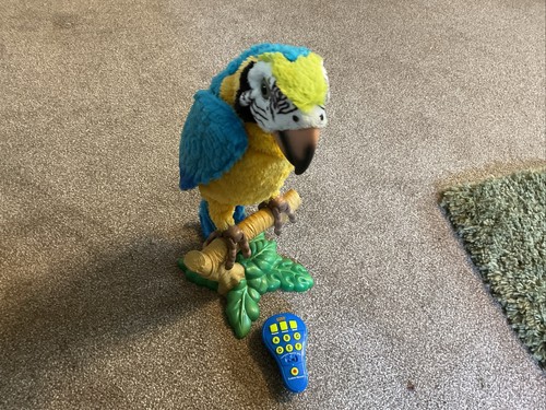 Squawkers mccaw talking - talking, parrot