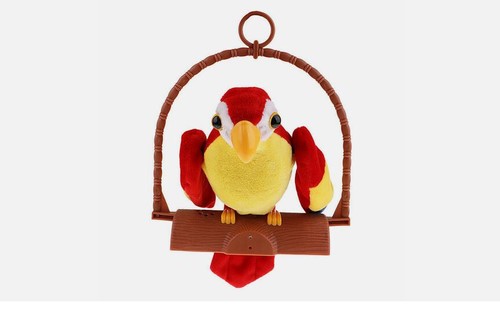 Talking parrot repeat moves - talking,