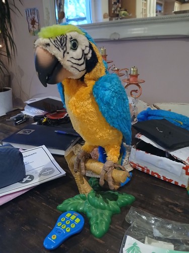 Furreal friend squawkers mccaw - squawkers,