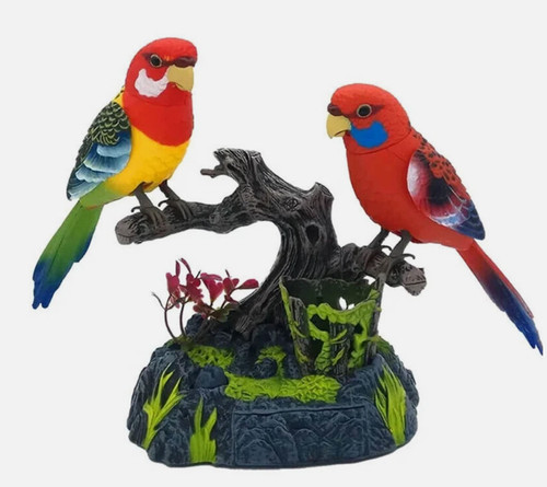 Talking birds repeat moves - birds,