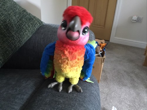Hasbro furreal friends parrot - hasbro,