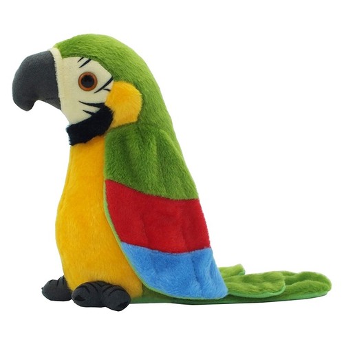 Talking parrot repeats what - talking,