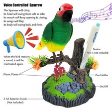 Talking Parrot | Electric