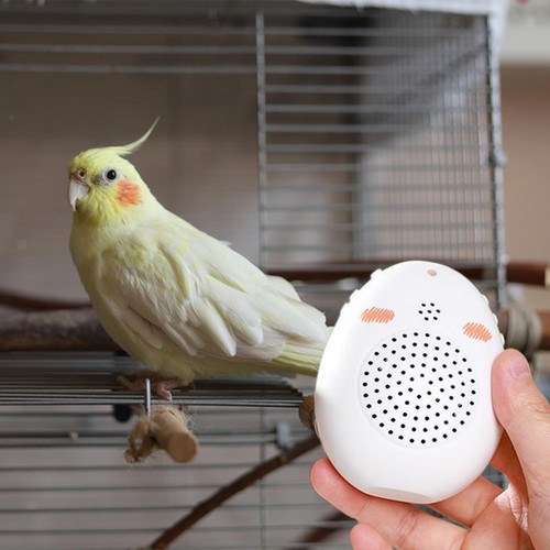 Parrot learning machine - learning,