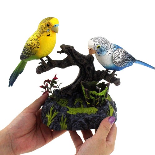 Escompd talking parrots - talking,