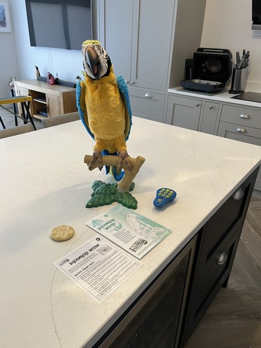 Furreal friend squawkers mccaw - squawkers,