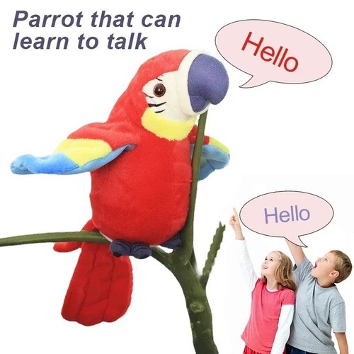 Talking macaw parrot - macaw, –