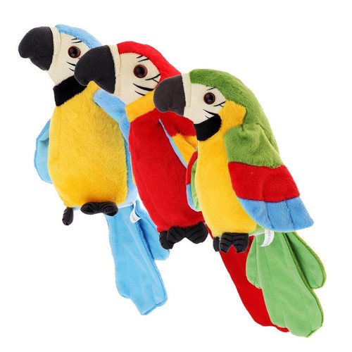 Talking parrot repeats what - talking,