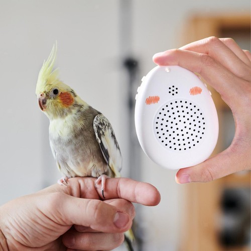 Parrot learning machine - machine,