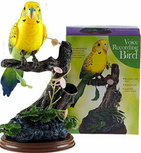 Yellow talk back voice - back,