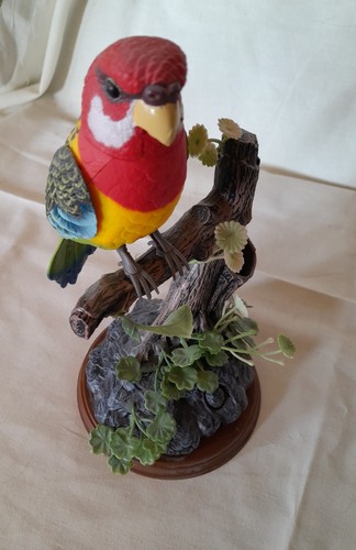 Kandy toys talking parrot - kandy,
