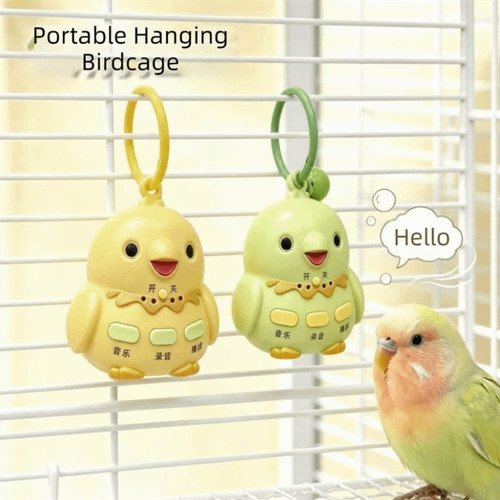 Recording parrot teach - recording,