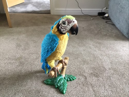 Squawkers mccaw talking - talking, parrot