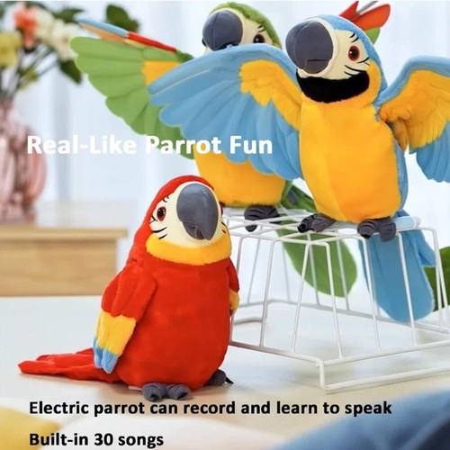 Repeat parrot talking birds - repeat,