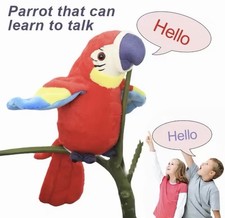 Talking Parrot Imitates What
