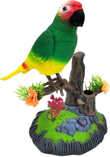 Talking parrot repeat - talking,